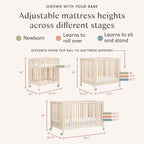 Rolli 9-in-1 Convertible All-Stages® Crib with Bassinet & Toddler Bed Conversion Kits