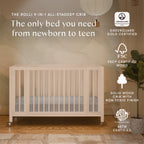 Rolli 9-in-1 Convertible All-Stages® Crib with Bassinet & Toddler Bed Conversion Kits