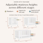 Rolli 9-in-1 Convertible All-Stages® Crib with Bassinet & Toddler Bed Conversion Kits