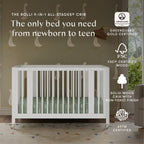 Rolli 9-in-1 Convertible All-Stages® Crib with Bassinet & Toddler Bed Conversion Kits