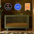 Hudson 3-in-1 Convertible Crib with Toddler Bed Conversion Kit