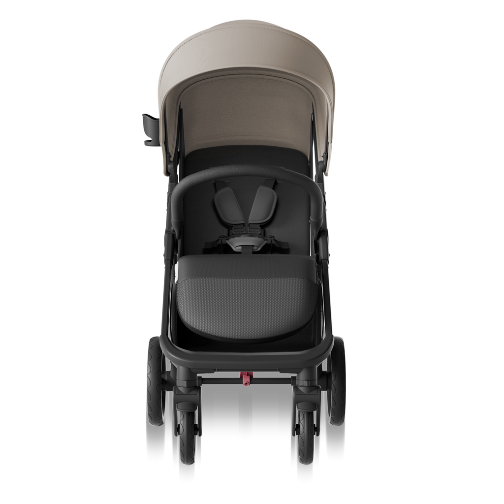 Mompush Nova
