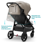 Mompush Nova