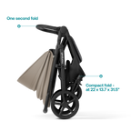 Mompush Nova