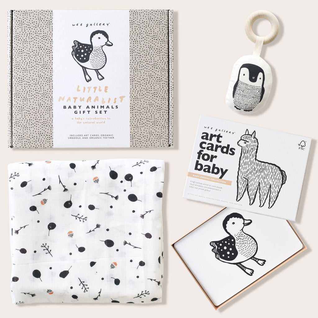 Newborn Baby Gift Set