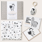 Newborn Baby Gift Set