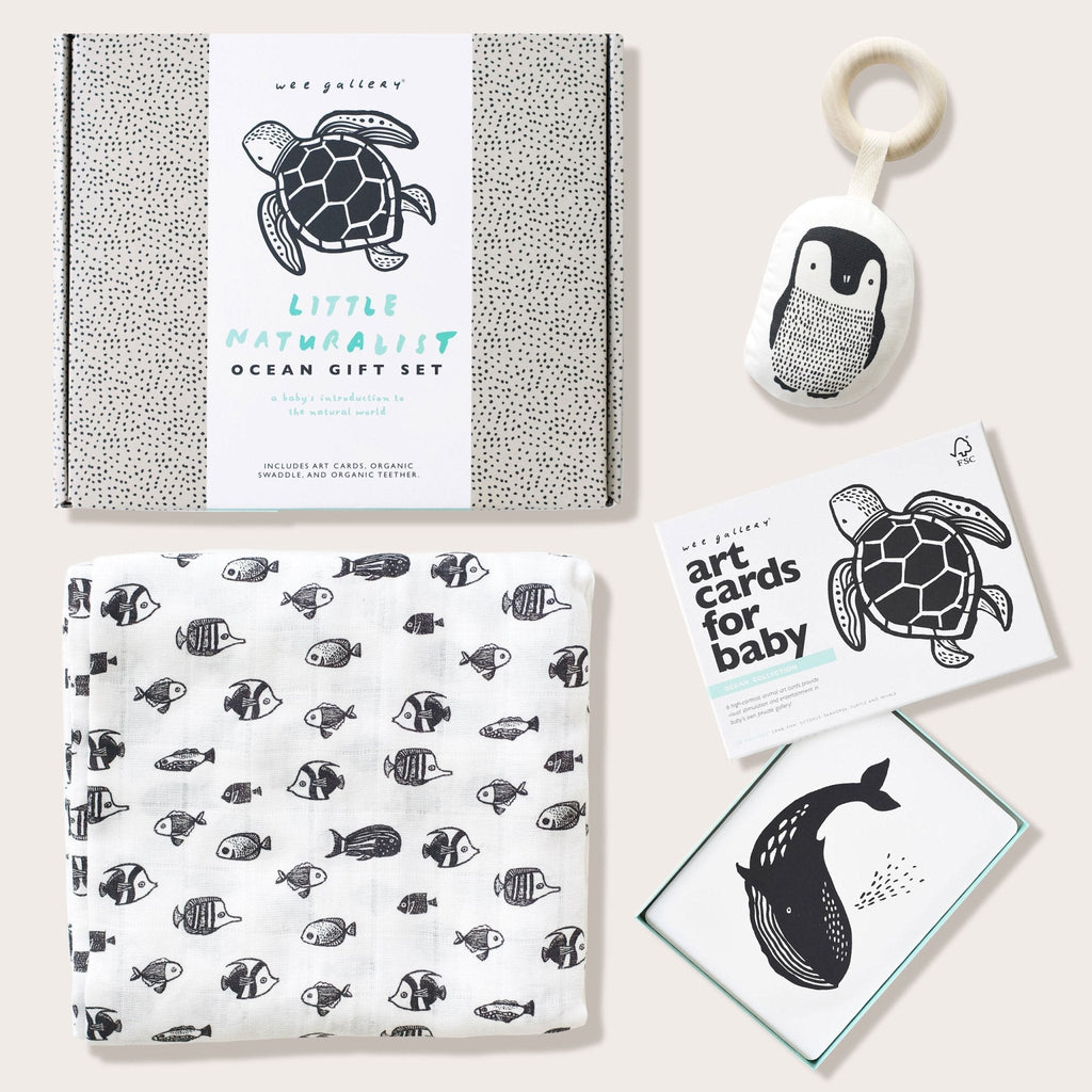 Newborn Baby Gift Set