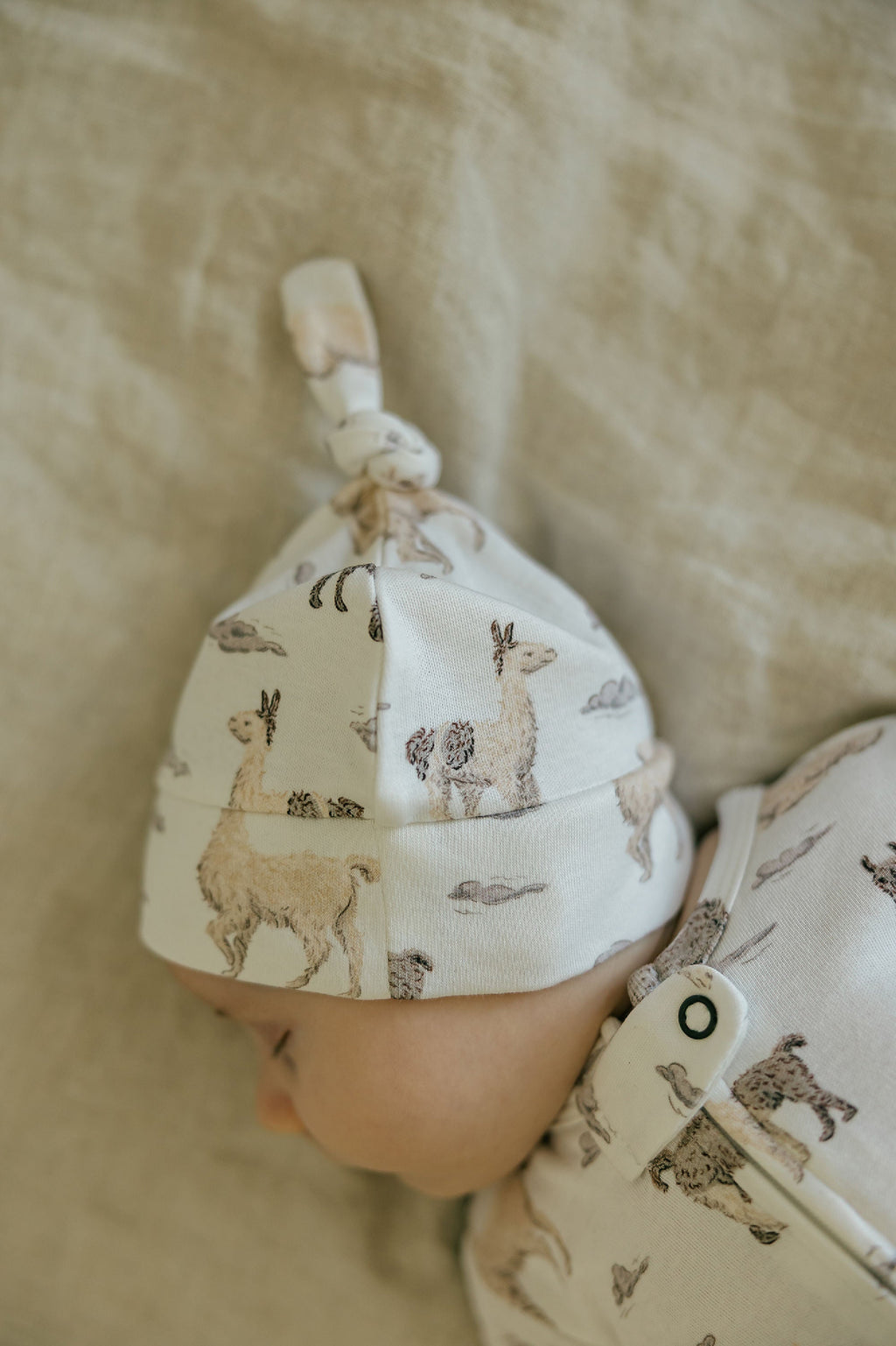 Llama | Organic Knotted Hat