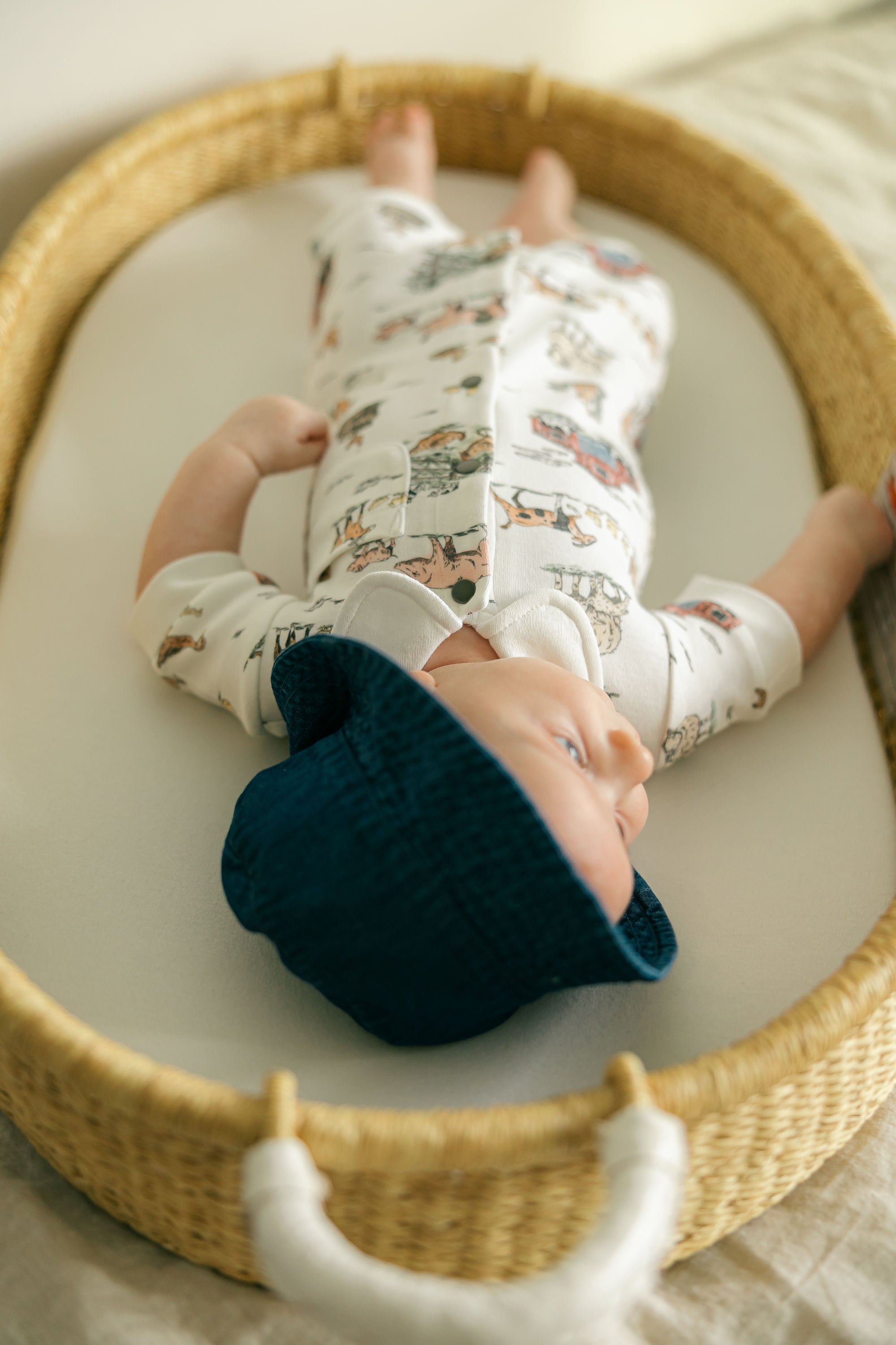 Farm Friends | Organic S/Sleeve Coverall