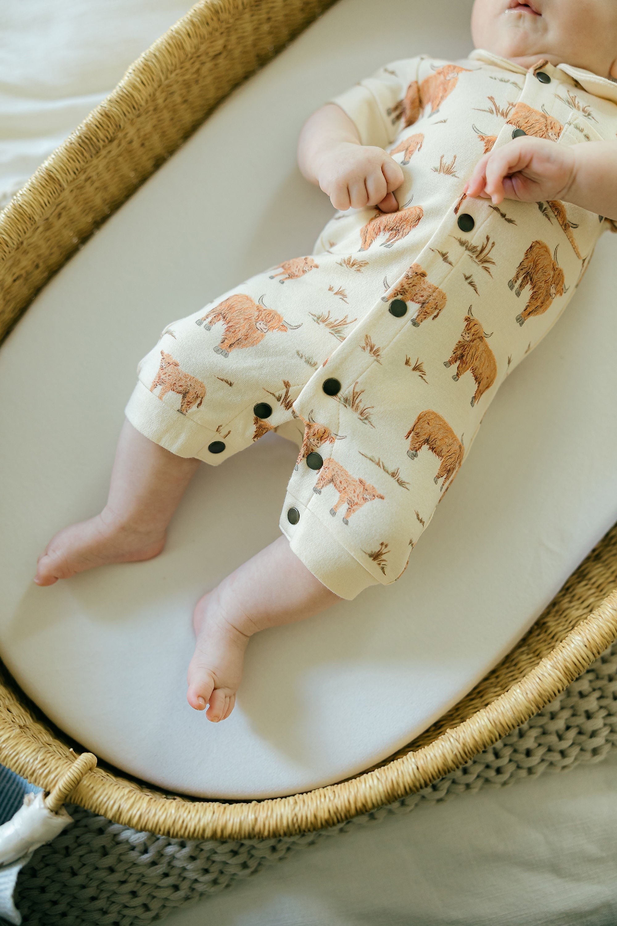 Highland Cow | Organic S/Sleeve Coverall
