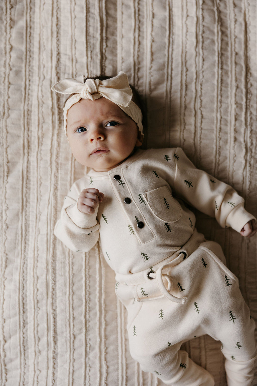 Buttercream Tree | Organic Henley Sweatshirt & Jogger Set