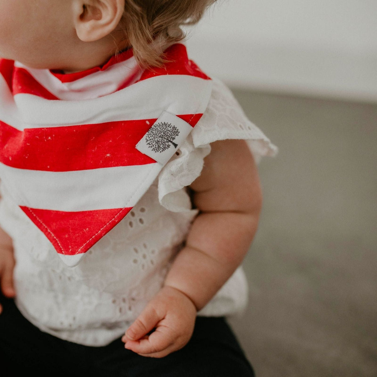 Bandana Bib Set