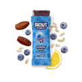 Skout Organic Blueberry Blast Kids Bar