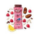 Skout Organic Raspberry Rush Kids Bar