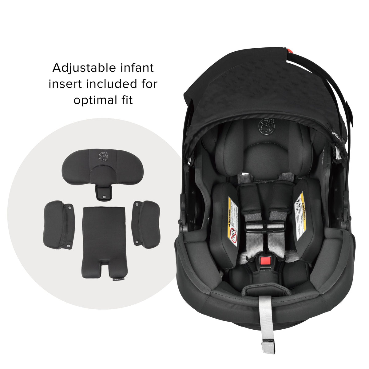 Jog, Lounge, & Ride Travel System