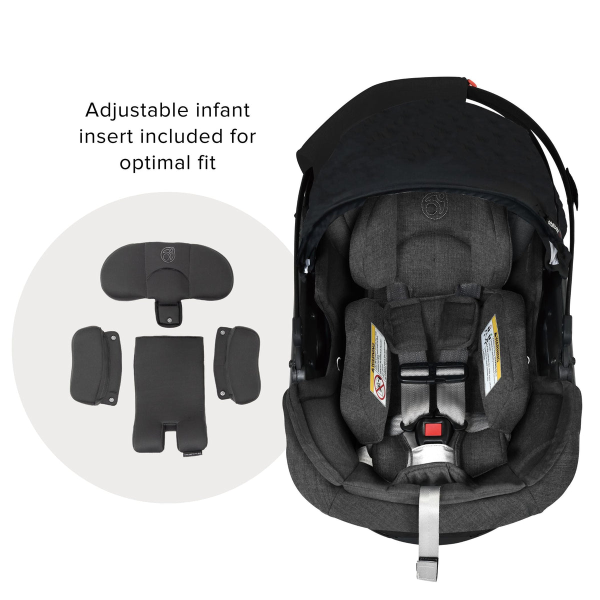 Jog, Lounge, & Ride Travel System