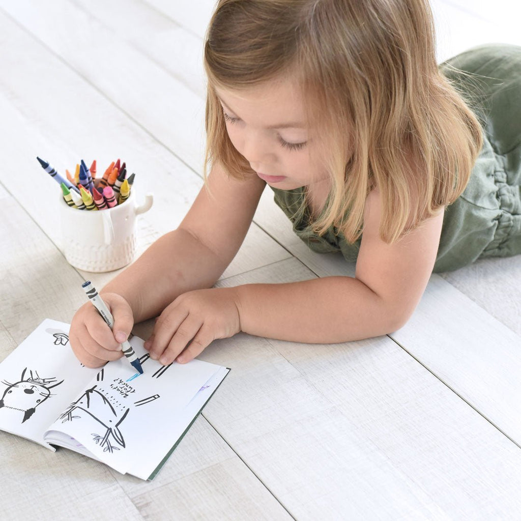 32 Ways to Dress Animals - Activity Book