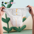 Training Pants Monthly Box