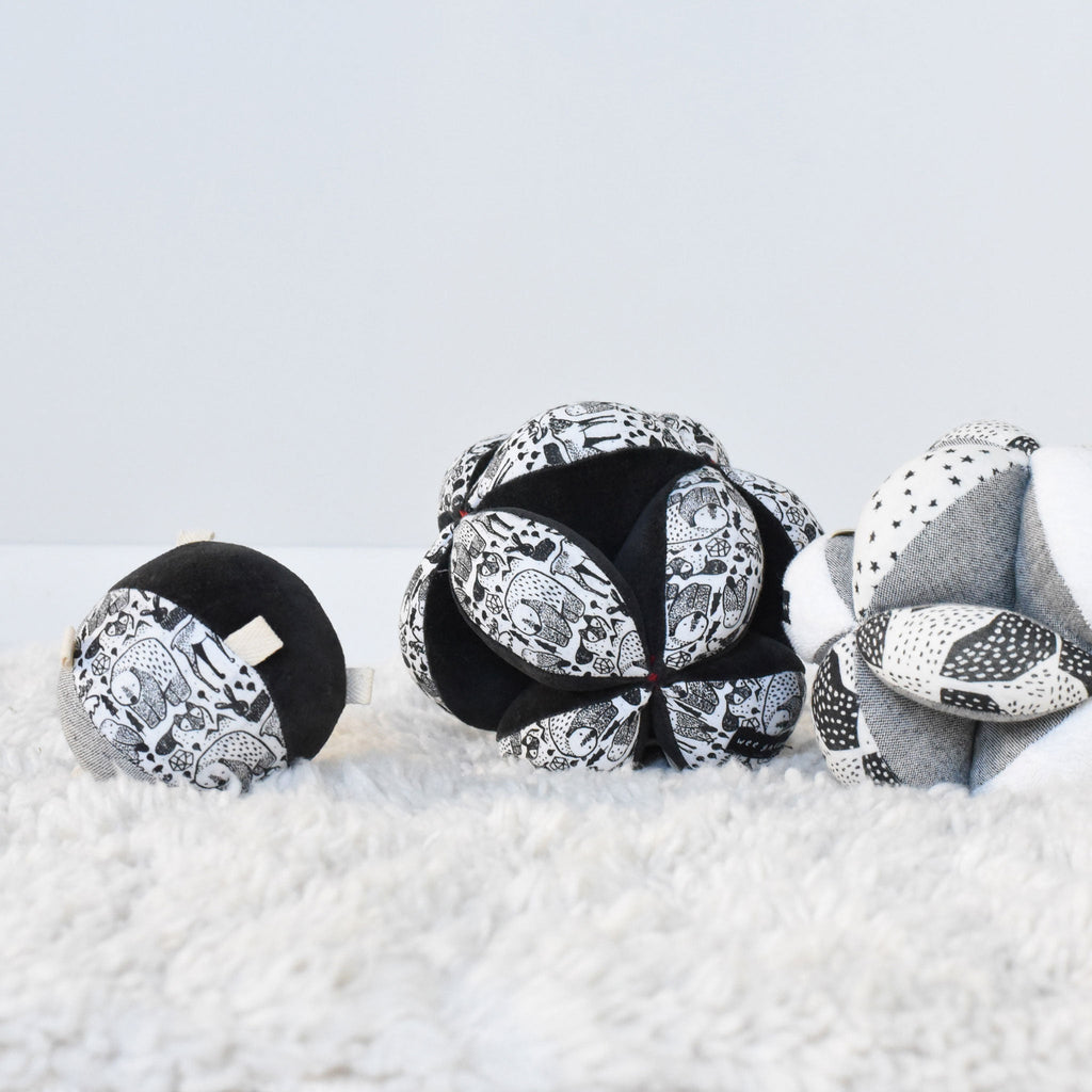 Taggy Ball with Rattle
