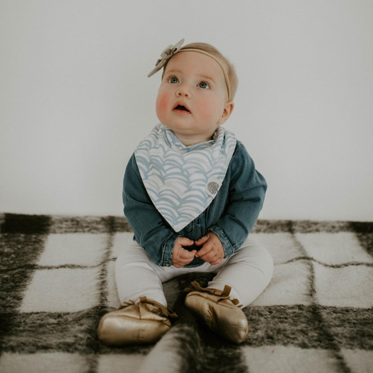Set de baberos tipo bandana Arctic (paquete de 8)