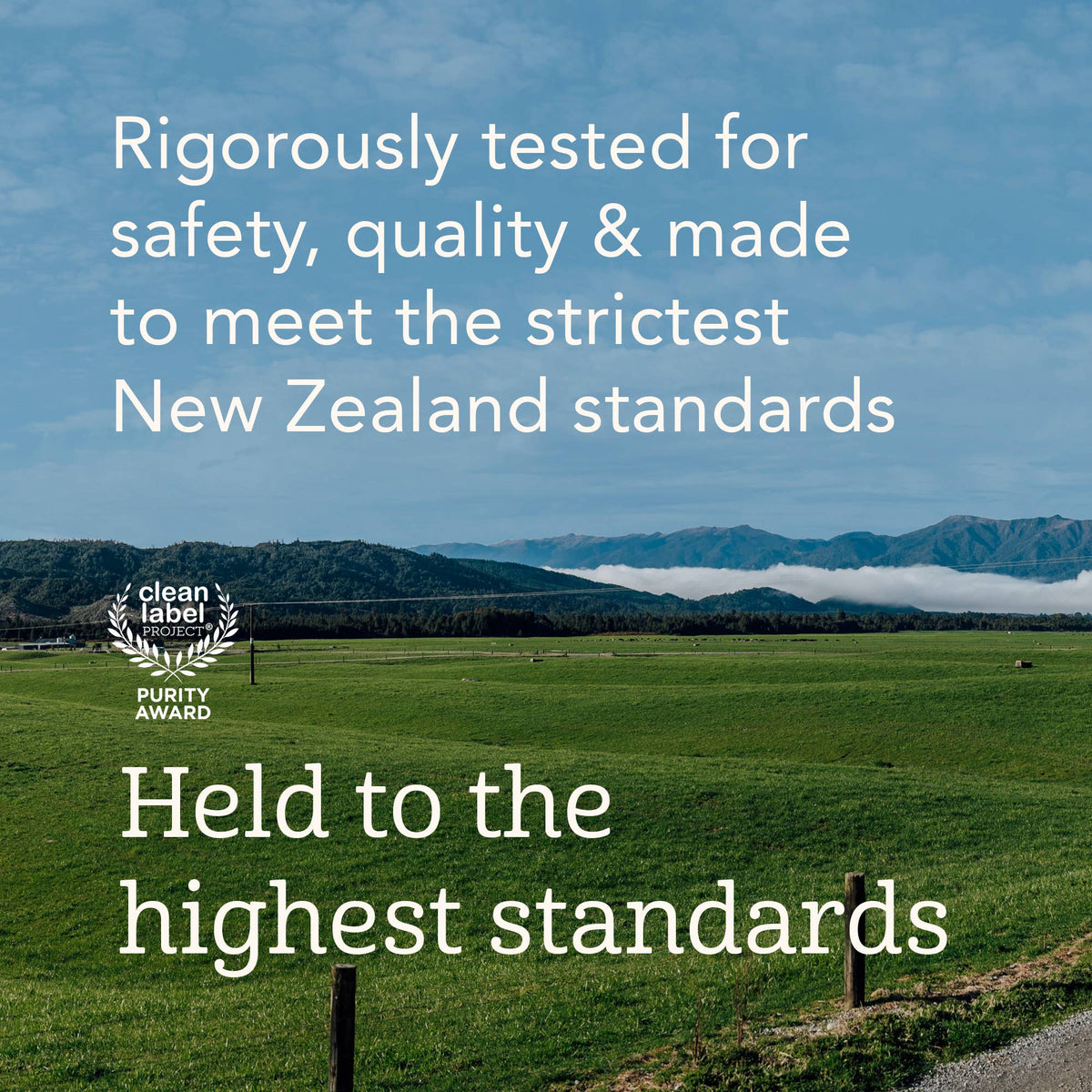 Haven A2 Cow Toddler Formula | NZ Grass Fed Whole Milk