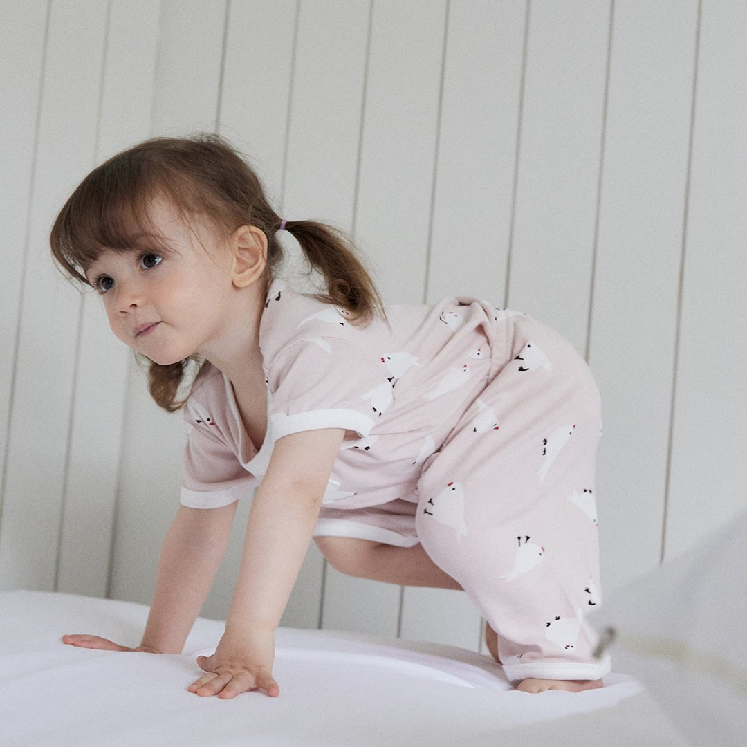 BabyRabbit Little Bird Short Sleeve — Toddler Cotton Pajamas & Loungewear Set (12M–5T)