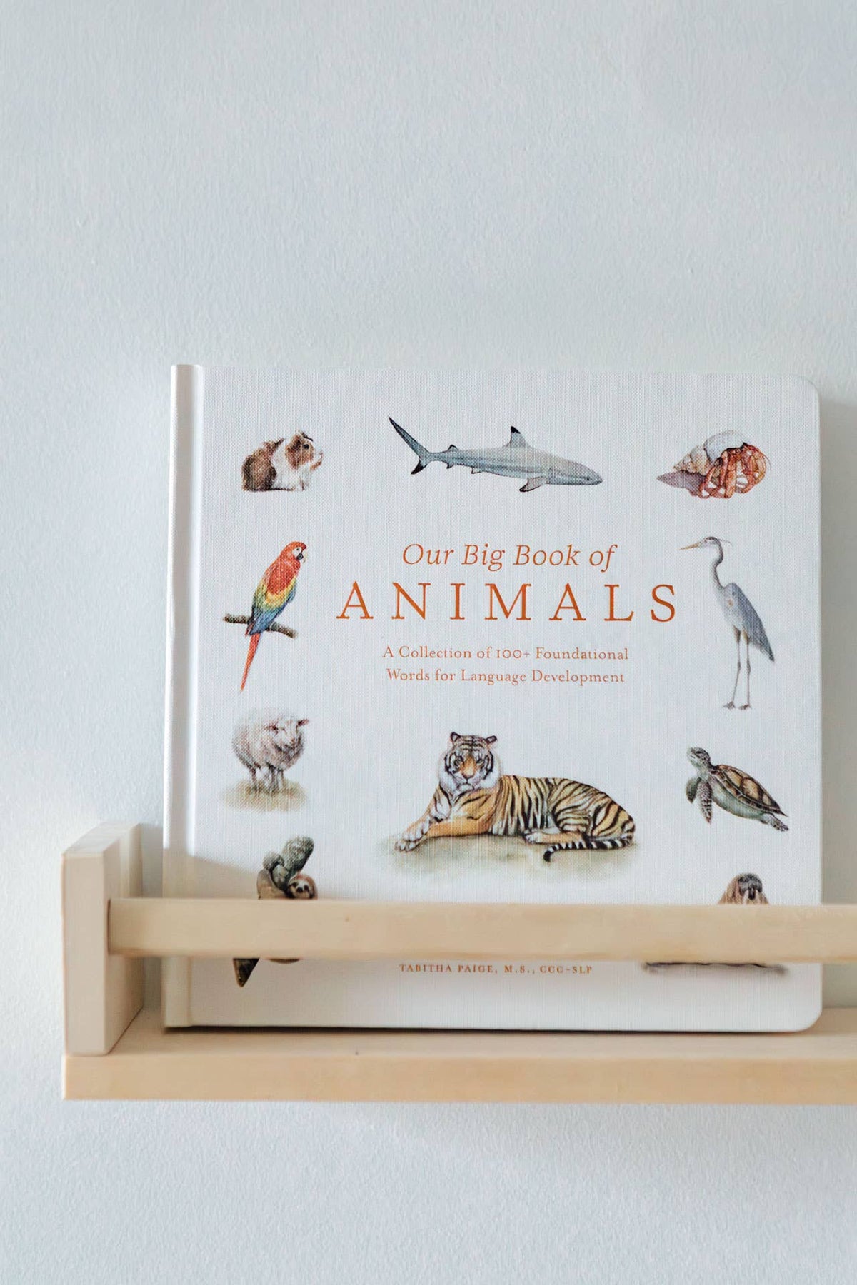 Nuestro gran libro de los animales (libro de cartón)