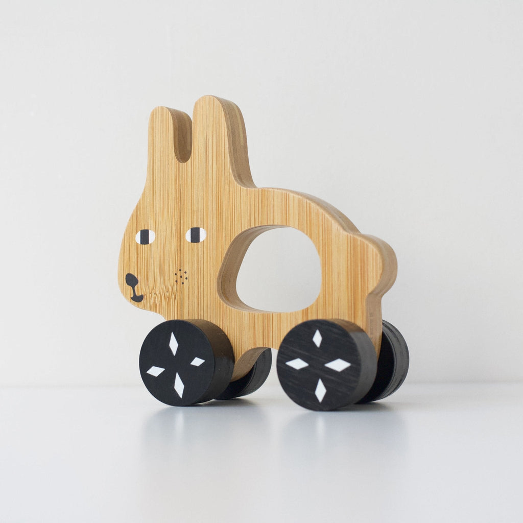 Push Toy