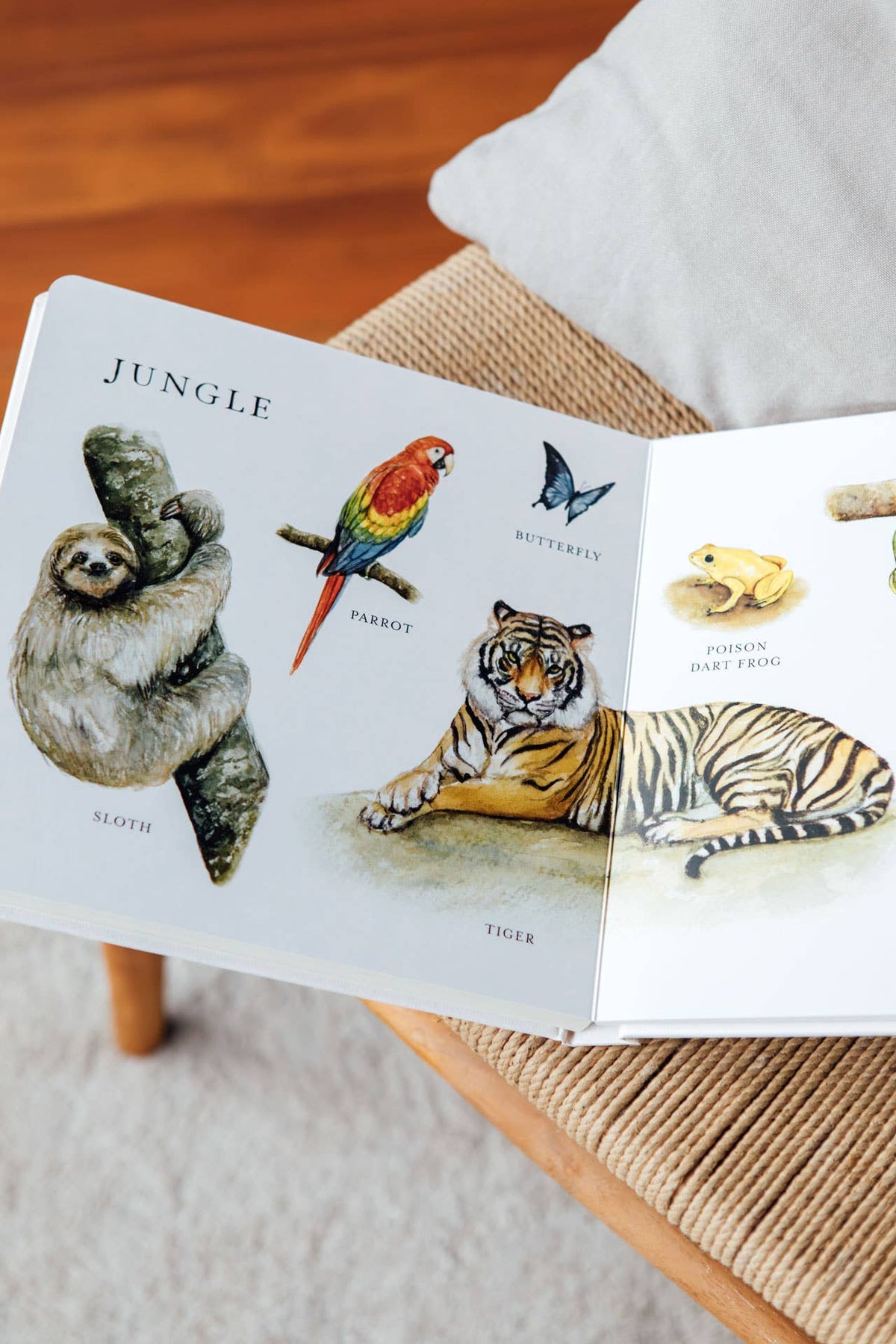 Nuestro gran libro de los animales (libro de cartón)