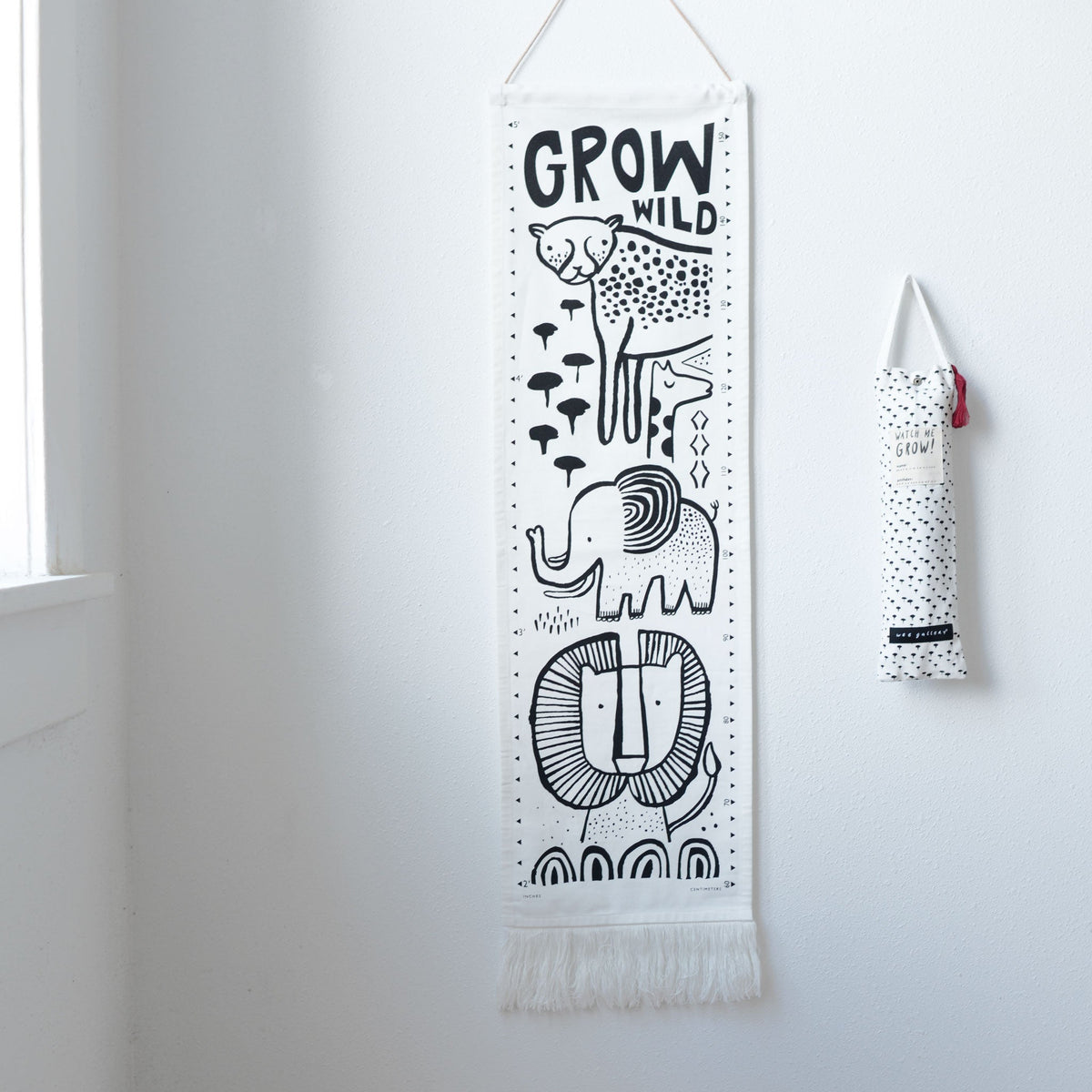 Canvas Growth Chart