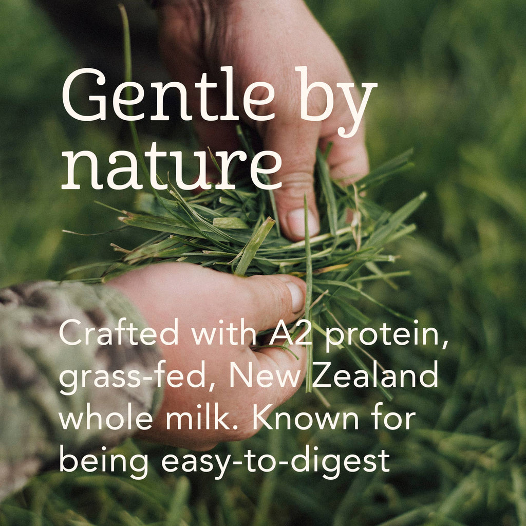 Haven A2 Cow Toddler Formula | NZ Grass Fed Whole Milk