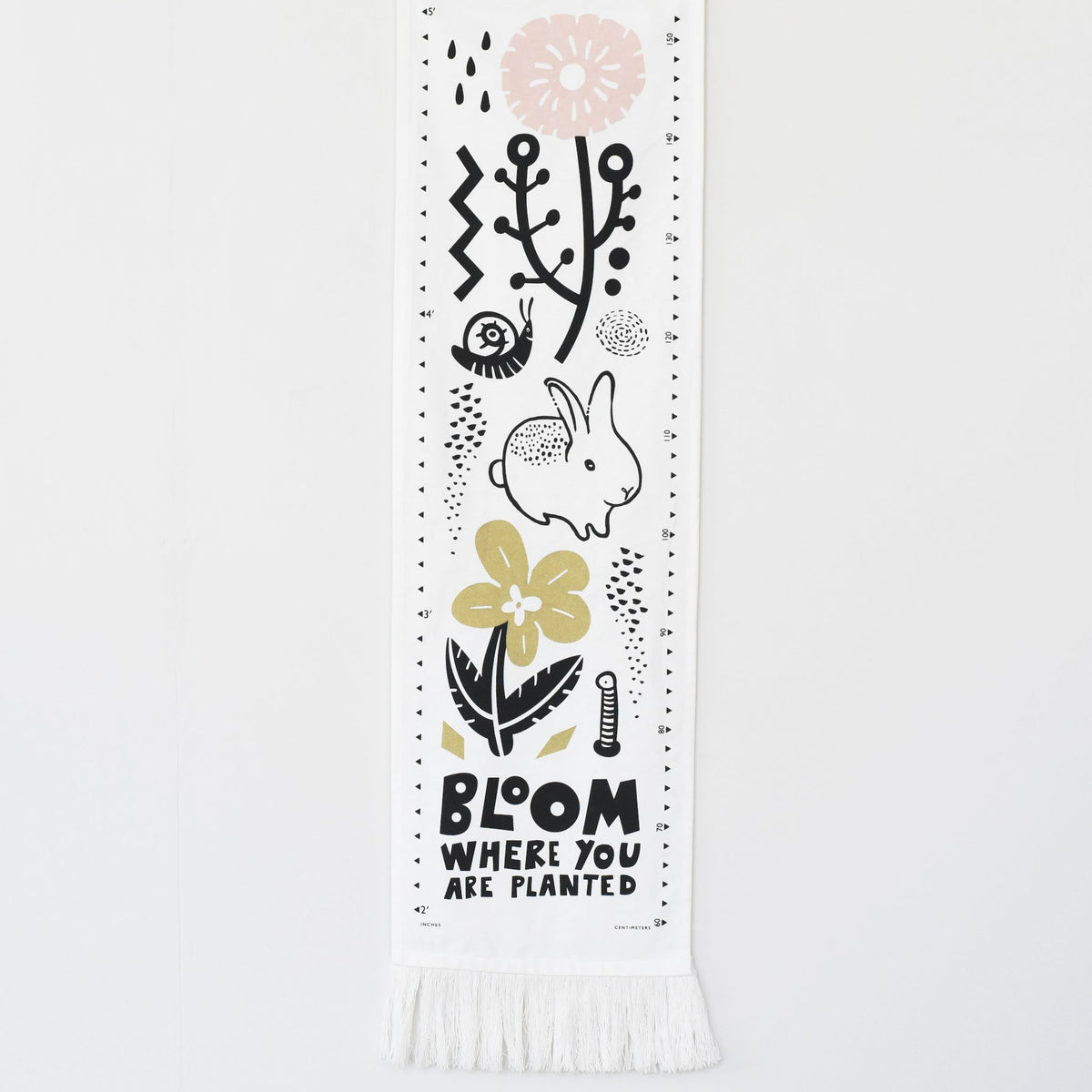Canvas Growth Chart