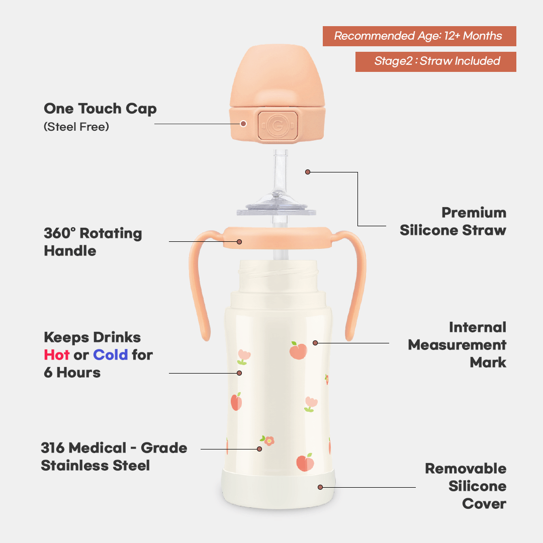 Grosmimi Stainless Steel Straw Cup with Flip Top - 10oz (12 Months+)