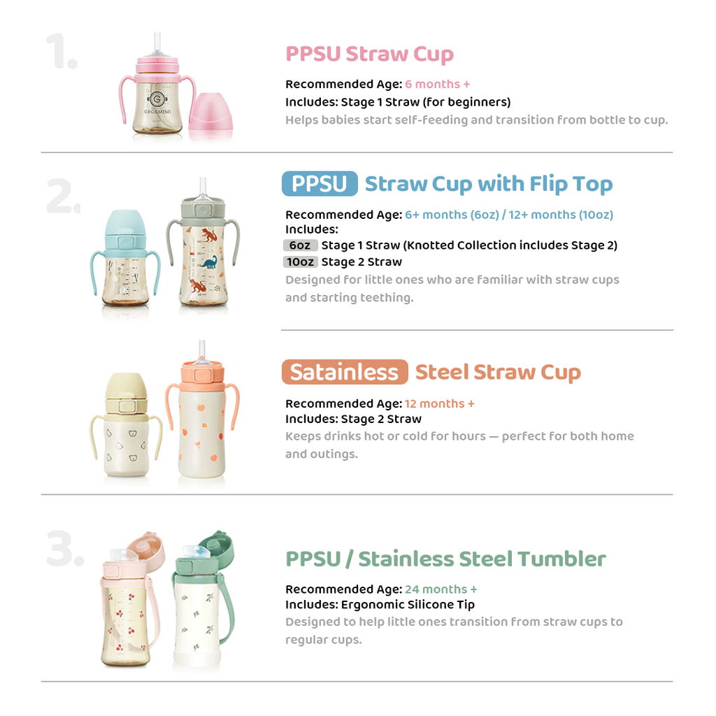 Grosmimi Stainless Steel Straw Cup with Flip Top - 10oz (12 Months+)