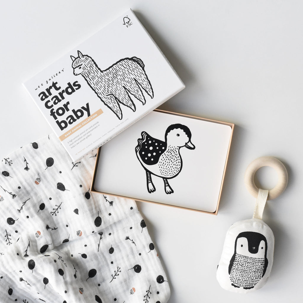 Newborn Baby Gift Set