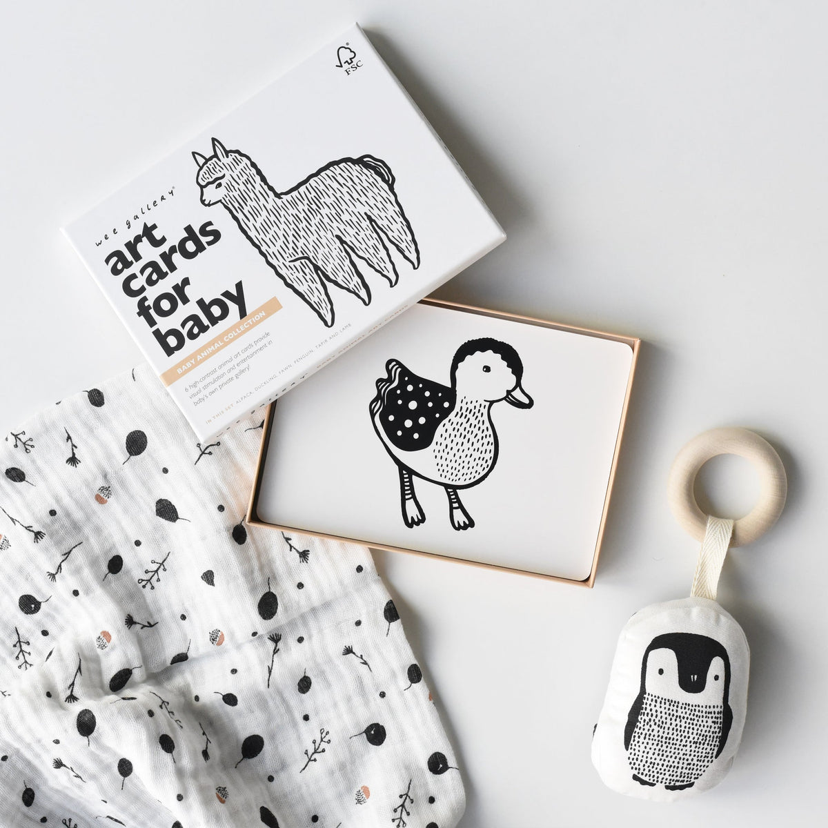 Newborn Baby Gift Set
