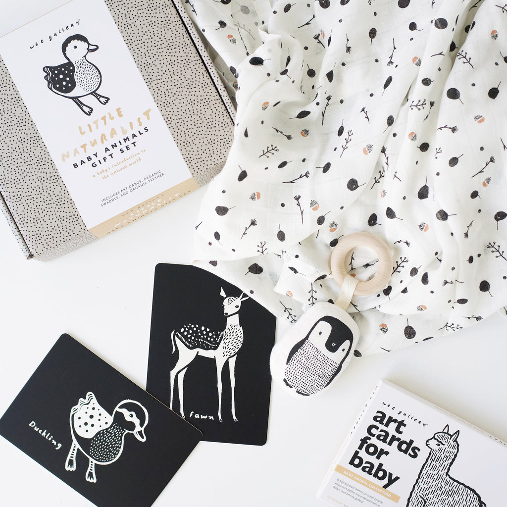Newborn Baby Gift Set