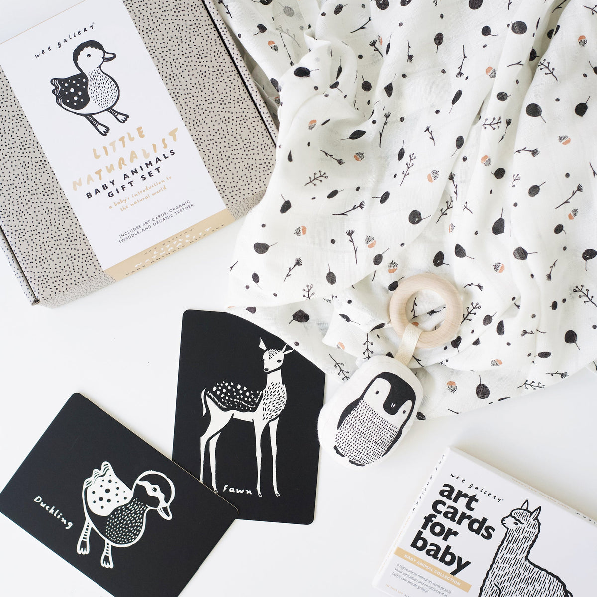 Newborn Baby Gift Set