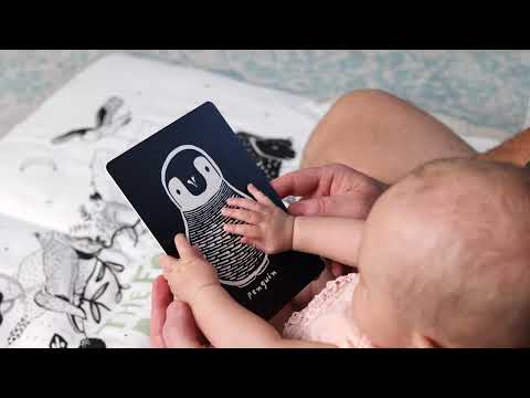 Art Cards for Baby - Ocean Collection - Art Cards for Baby - Ocean Collection Art Cards Leo Paper