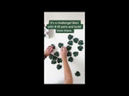 Memory Game - Jungle - Memory Game - Jungle Memory Games Alaska