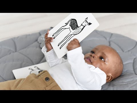 Art Cards for Baby - Ocean Collection - Art Cards for Baby - Ocean Collection Art Cards Leo Paper
