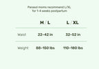 Recovery Care™ Postpartum Underwear