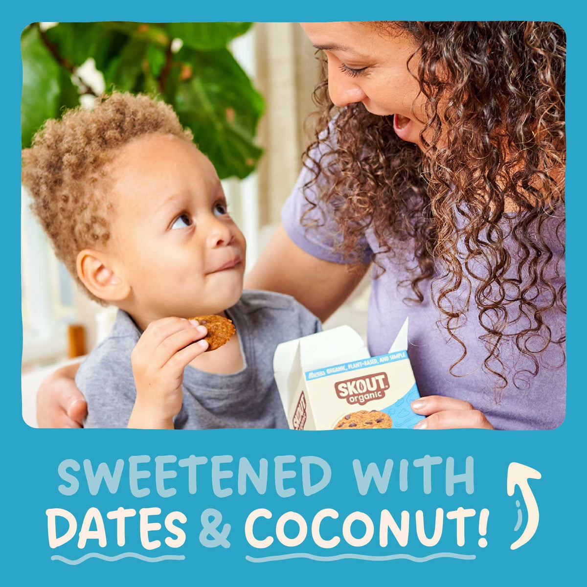 Skout Organic Soft Baked Cookie Paquete Surtido