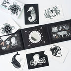 Baby Tummy Time Gallery with Mirror Gift Set