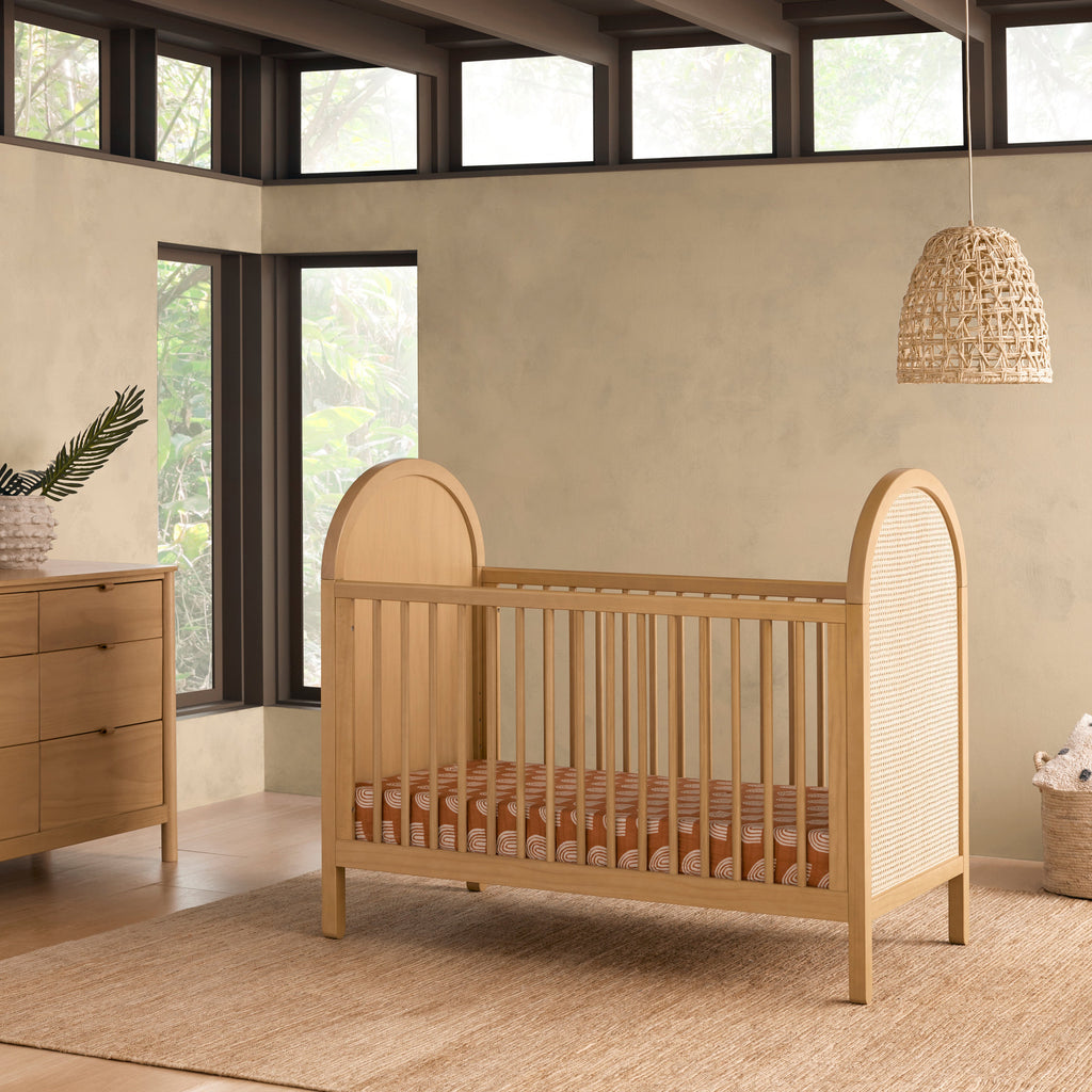 Bondi Cane 3-in-1 Convertible Crib with Toddler Bed Conversion Kit
