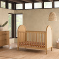 Bondi Cane 3-in-1 Convertible Crib with Toddler Bed Conversion Kit