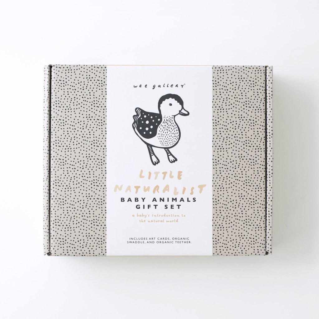 Newborn Baby Gift Set