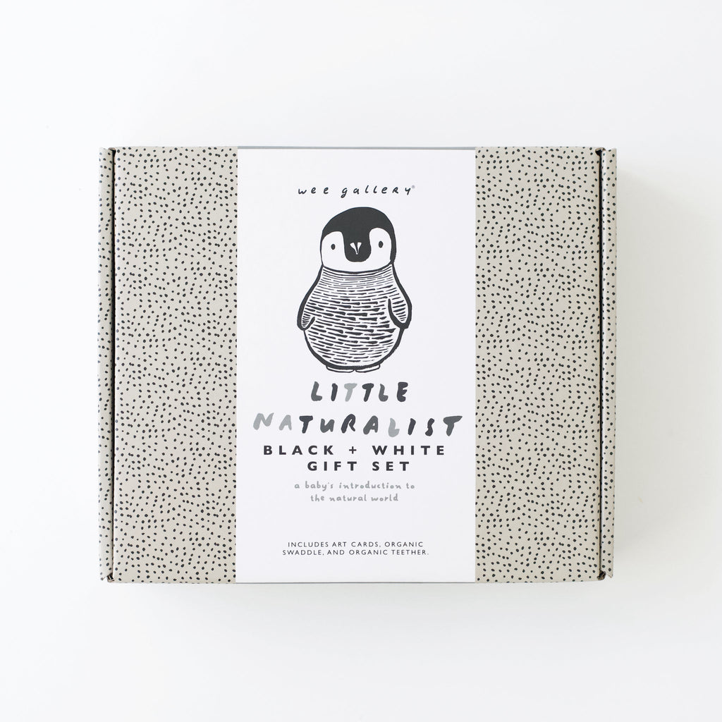 Newborn Baby Gift Set