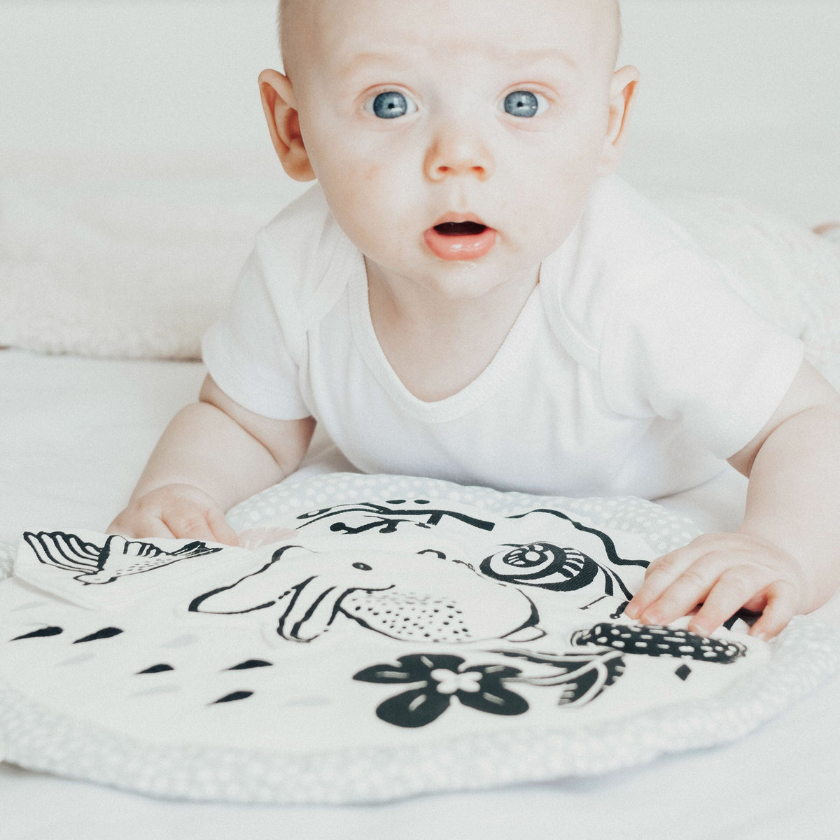 Organic Activity Pad