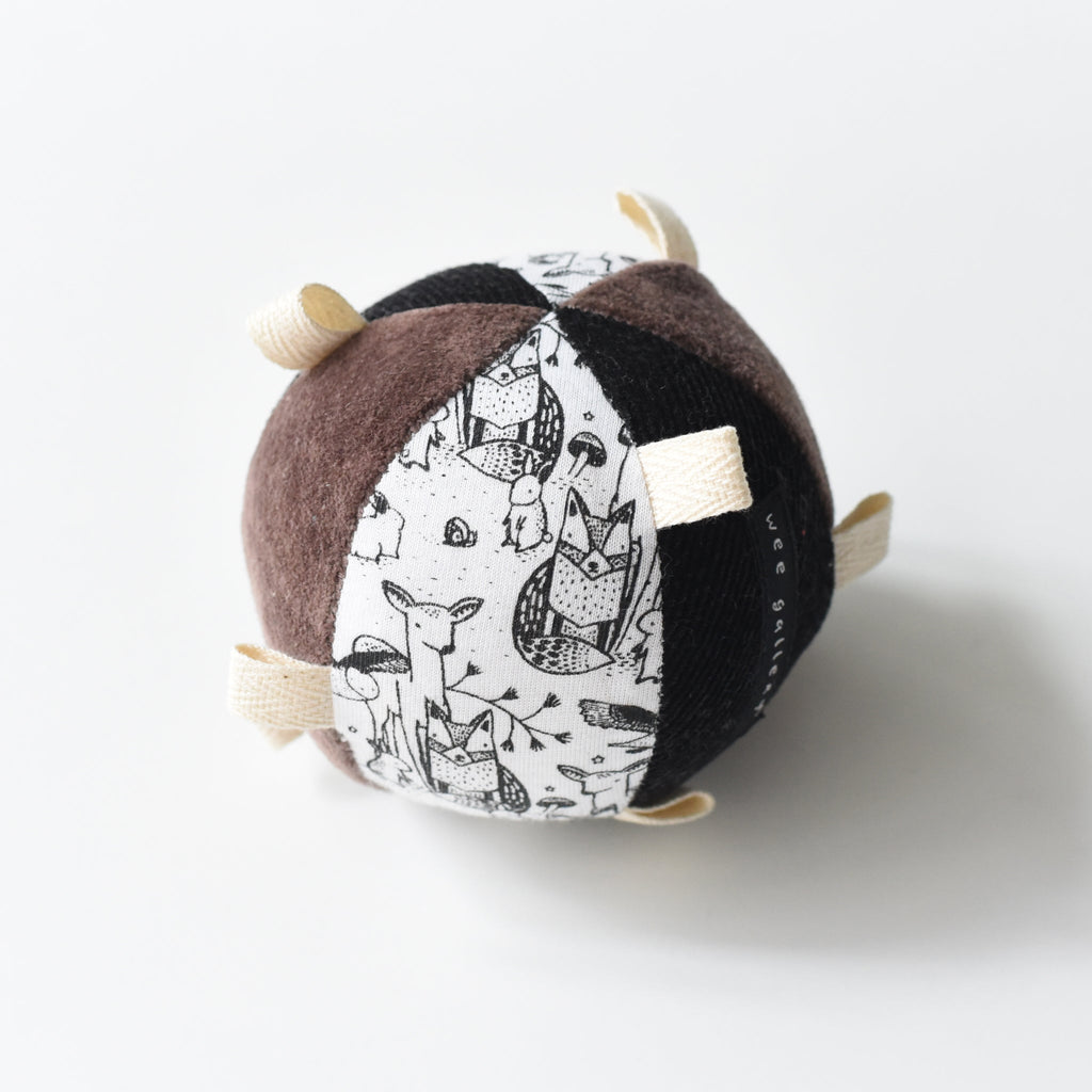 Taggy Ball with Rattle